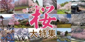 桜大特集バナー_4