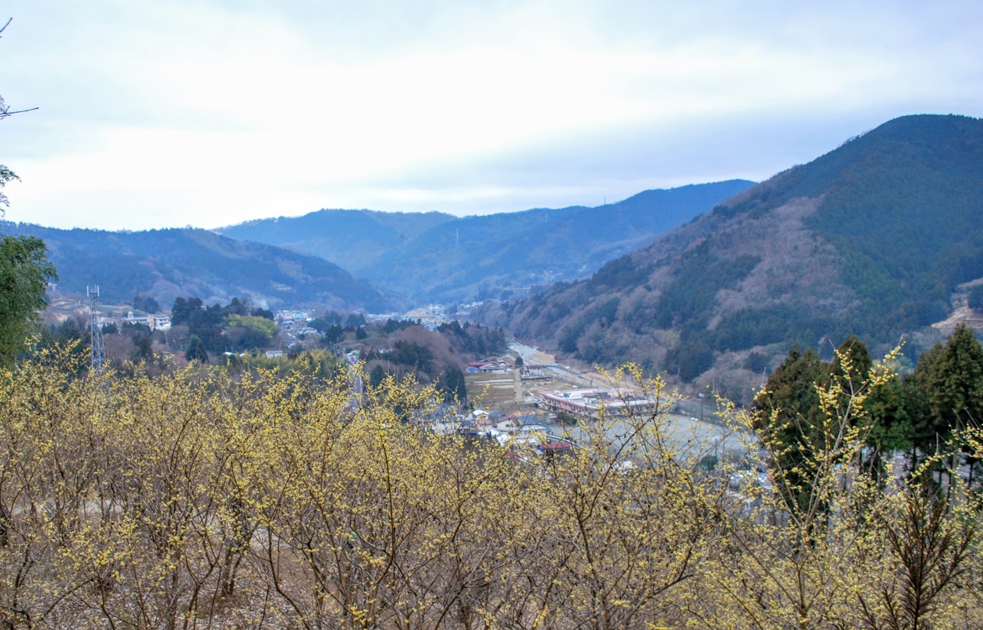 眺望も素晴らしい…!